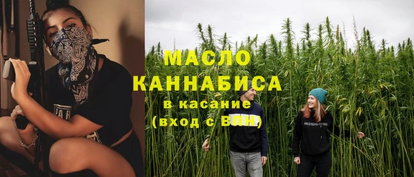 МДПВ Гусев