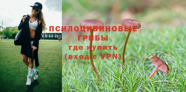 кристаллы Дмитриев
